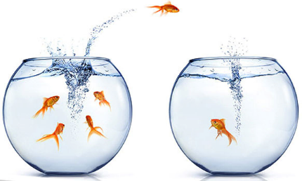 migrate-3